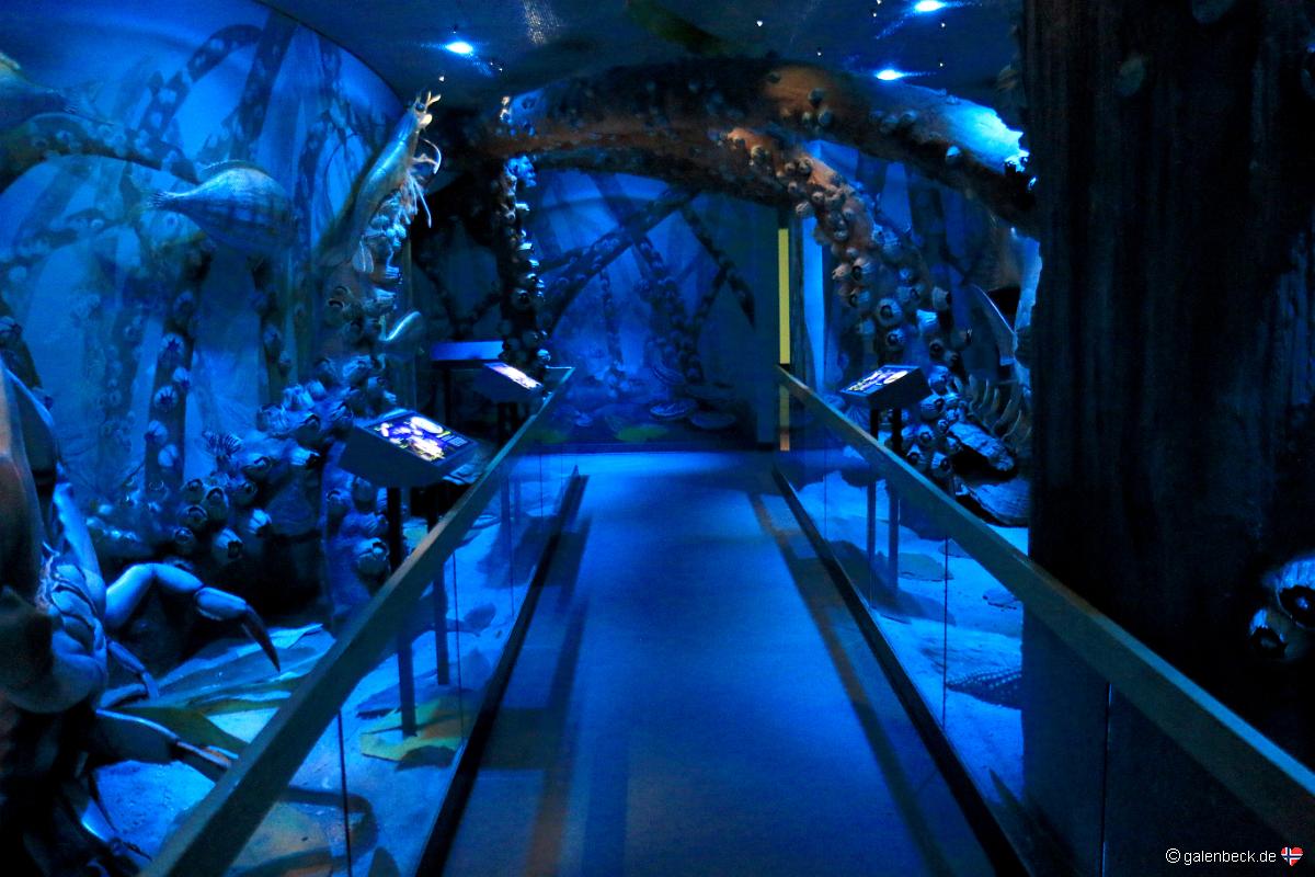 Florida Museum of Natural History