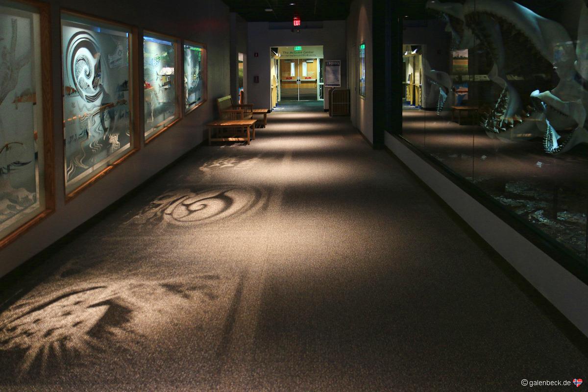 Florida Museum of Natural History