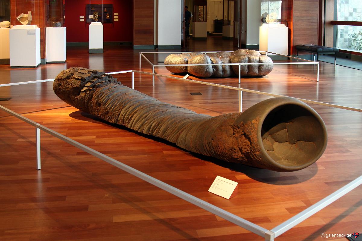 Harn Museum of Art