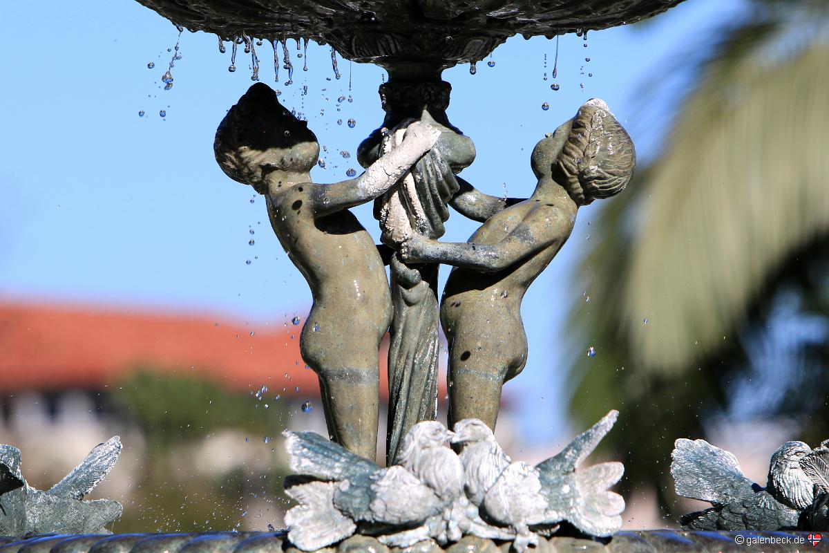 Hollis Garden