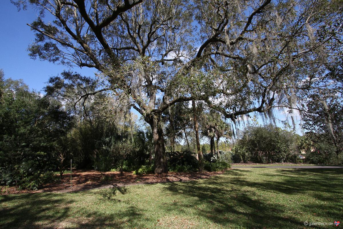 Bok Tower Gardens