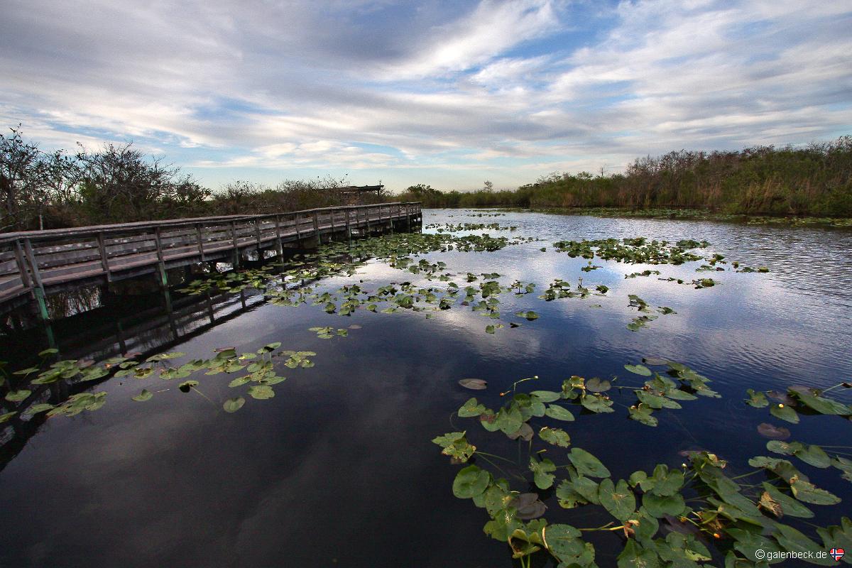 Anhinga Trail
