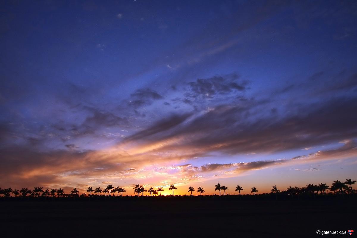 Florida City Sunset