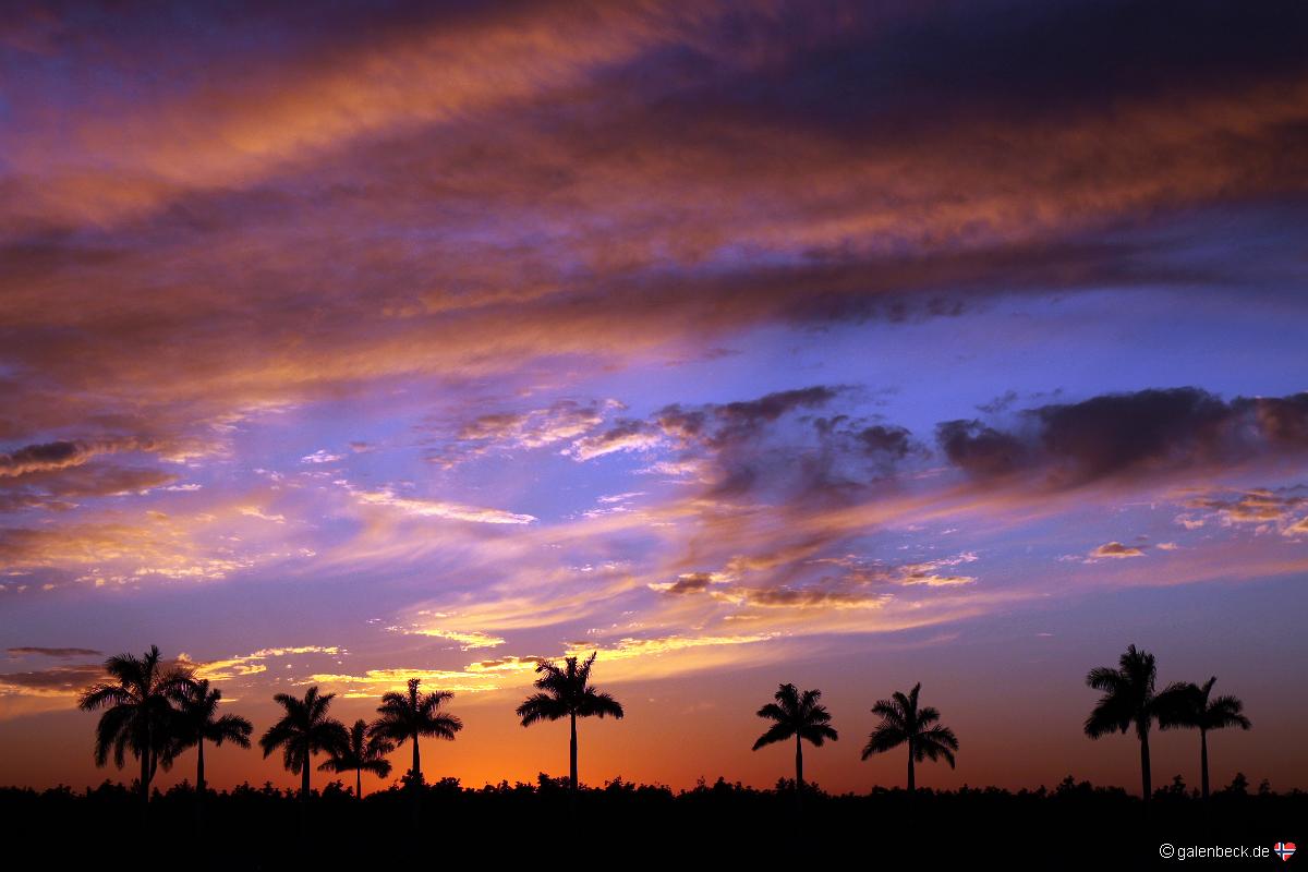Florida City Sunset