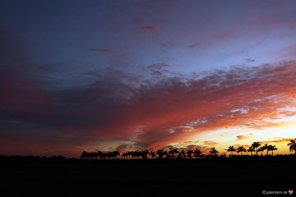 Florida City Sunset