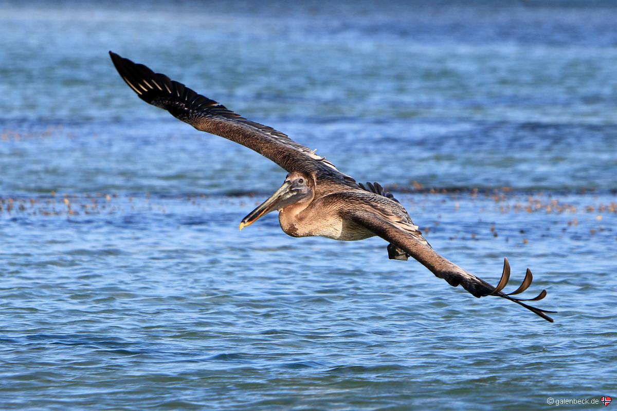 Bahia Honda State Park