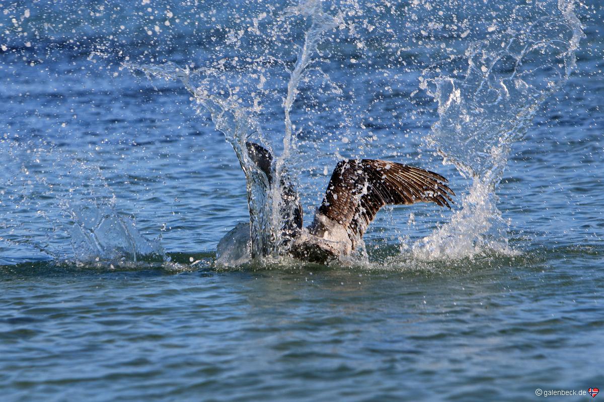 Bahia Honda State Park