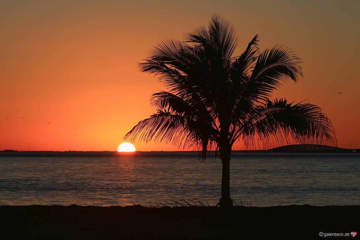 Knight Key Sunset