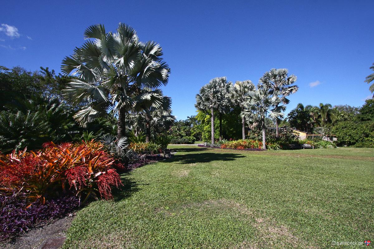 Fairchild Tropical Botanic Garden