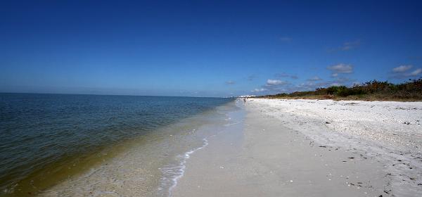 Barefoot Beach Preserve