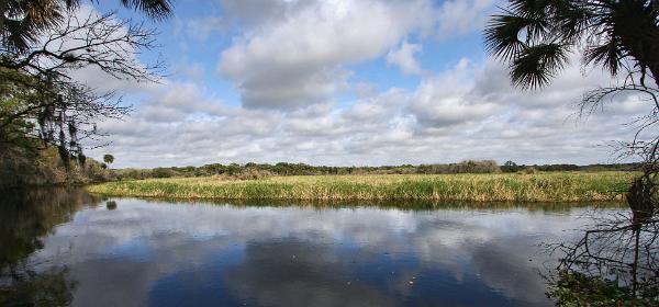 Myakka River State Park