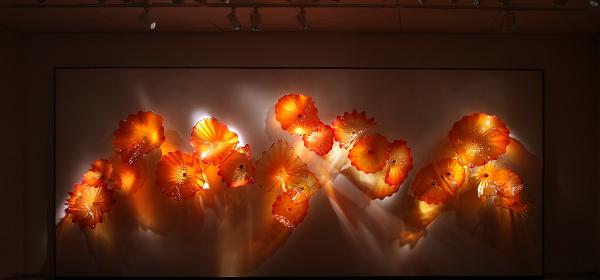 Chihuly Collection
