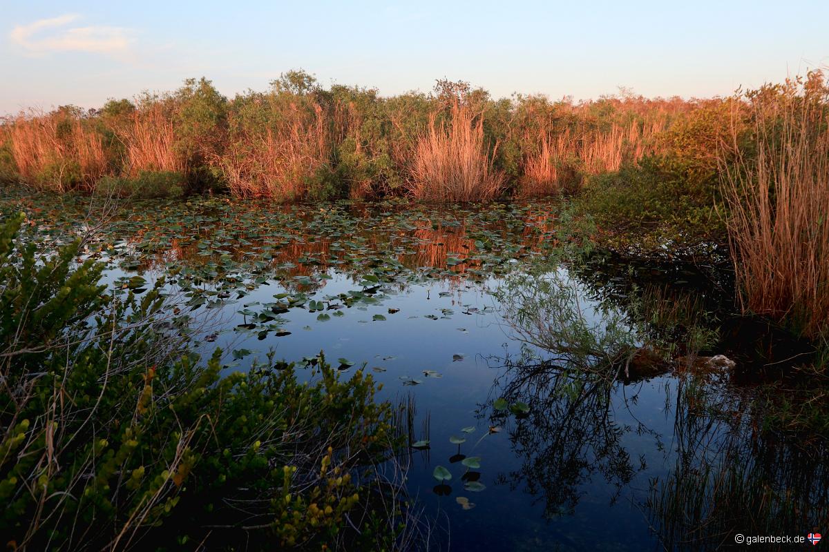 Anhinga Trail
