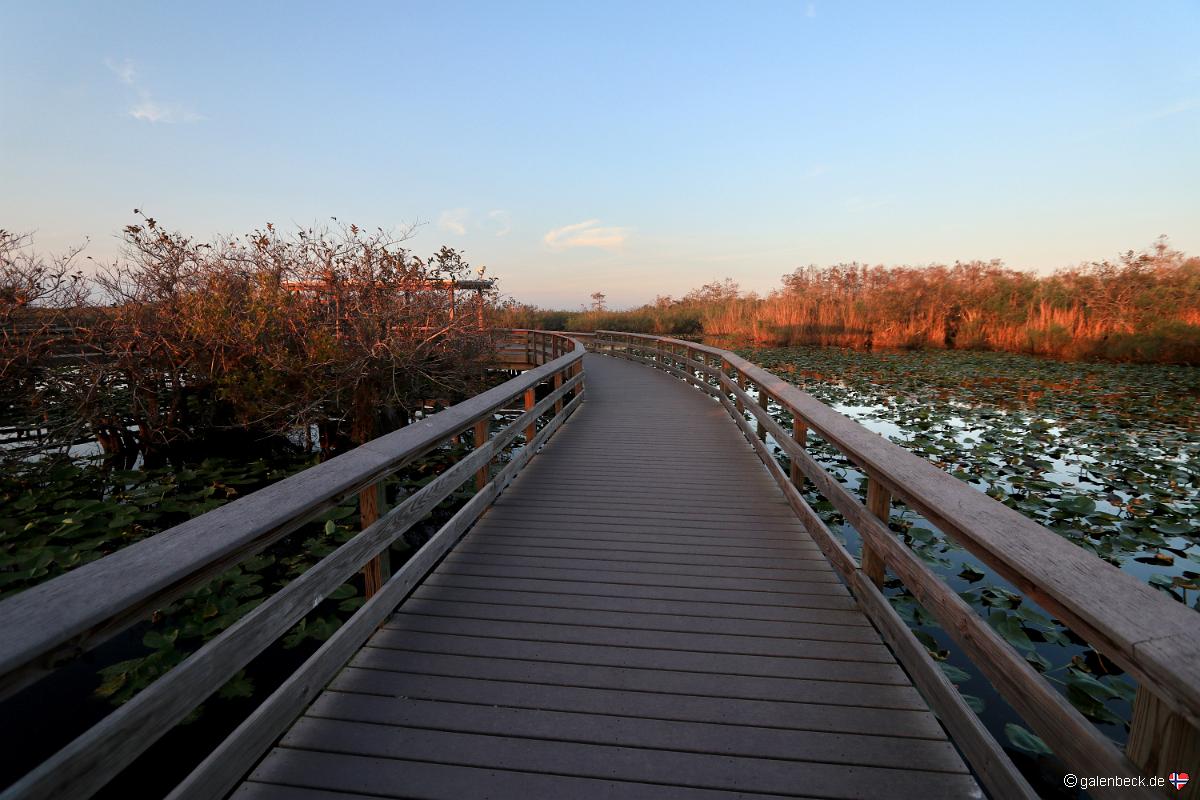 Anhinga Trail