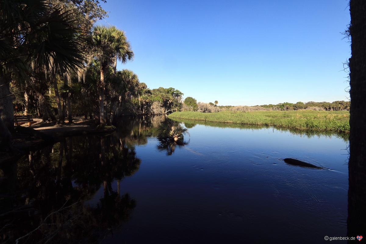 Myakka River State Park