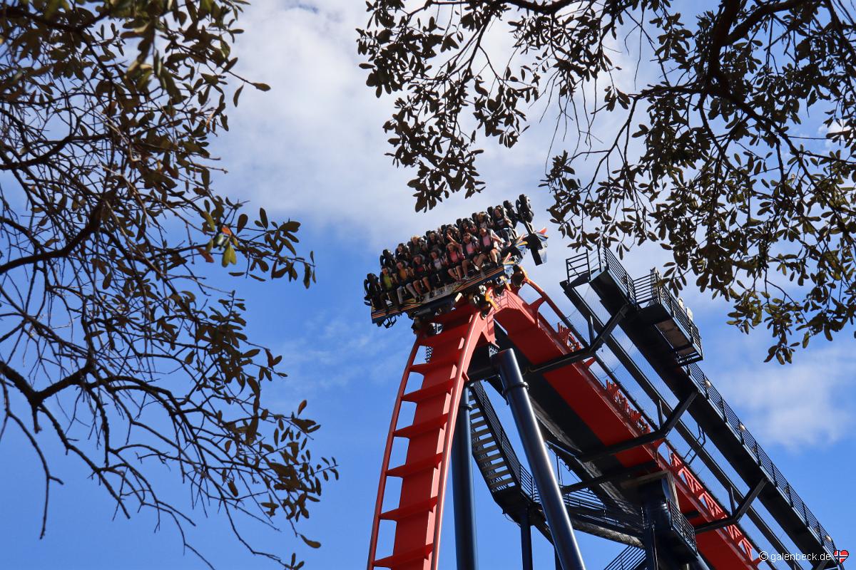 Busch Gardens Tampa