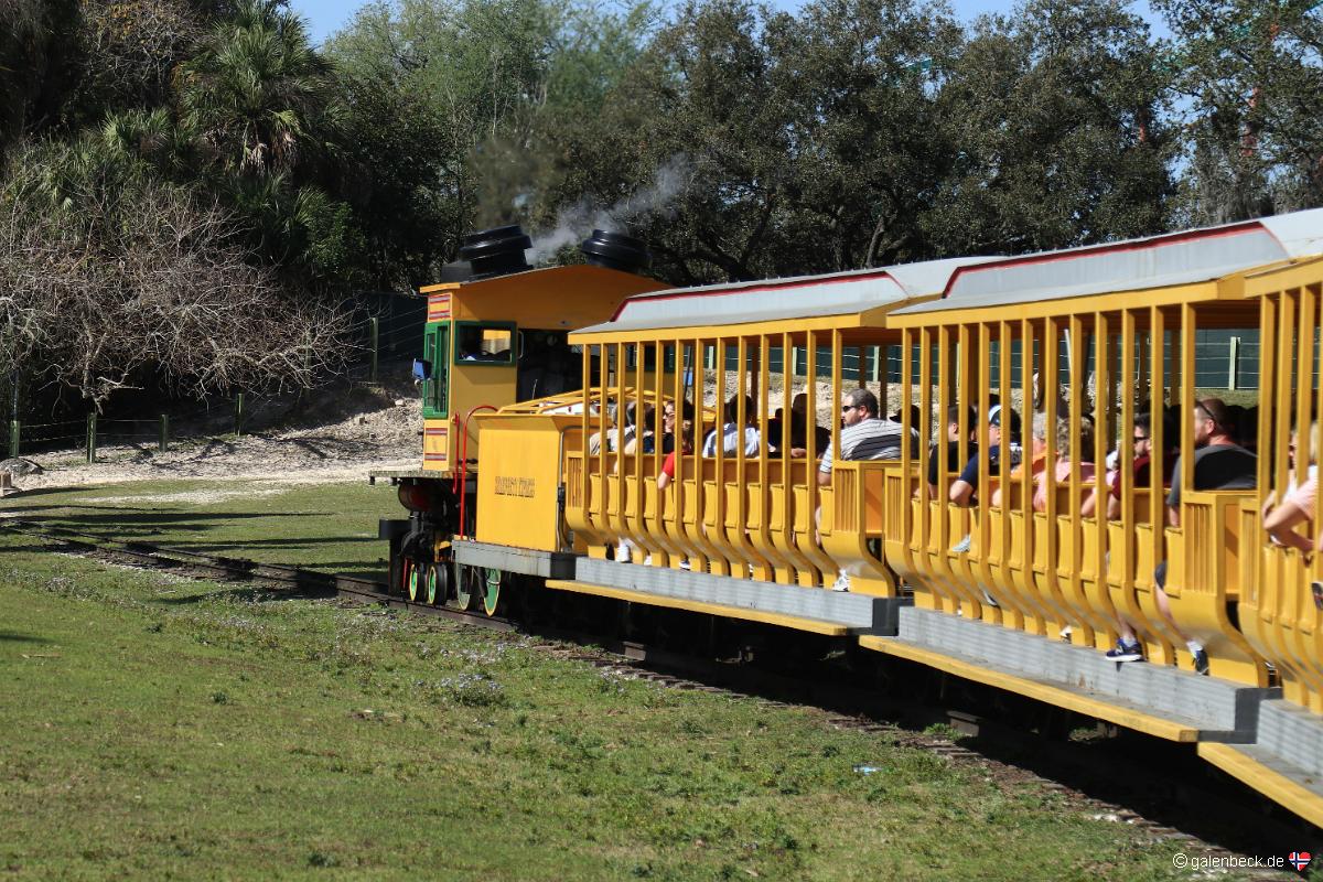 Busch Gardens Tampa