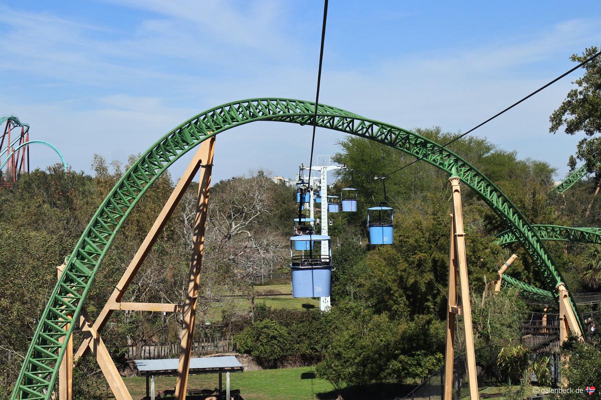 Busch Gardens Tampa