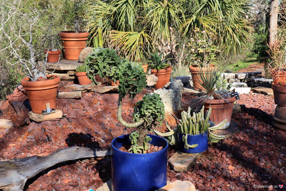 Florida Botanical Garden