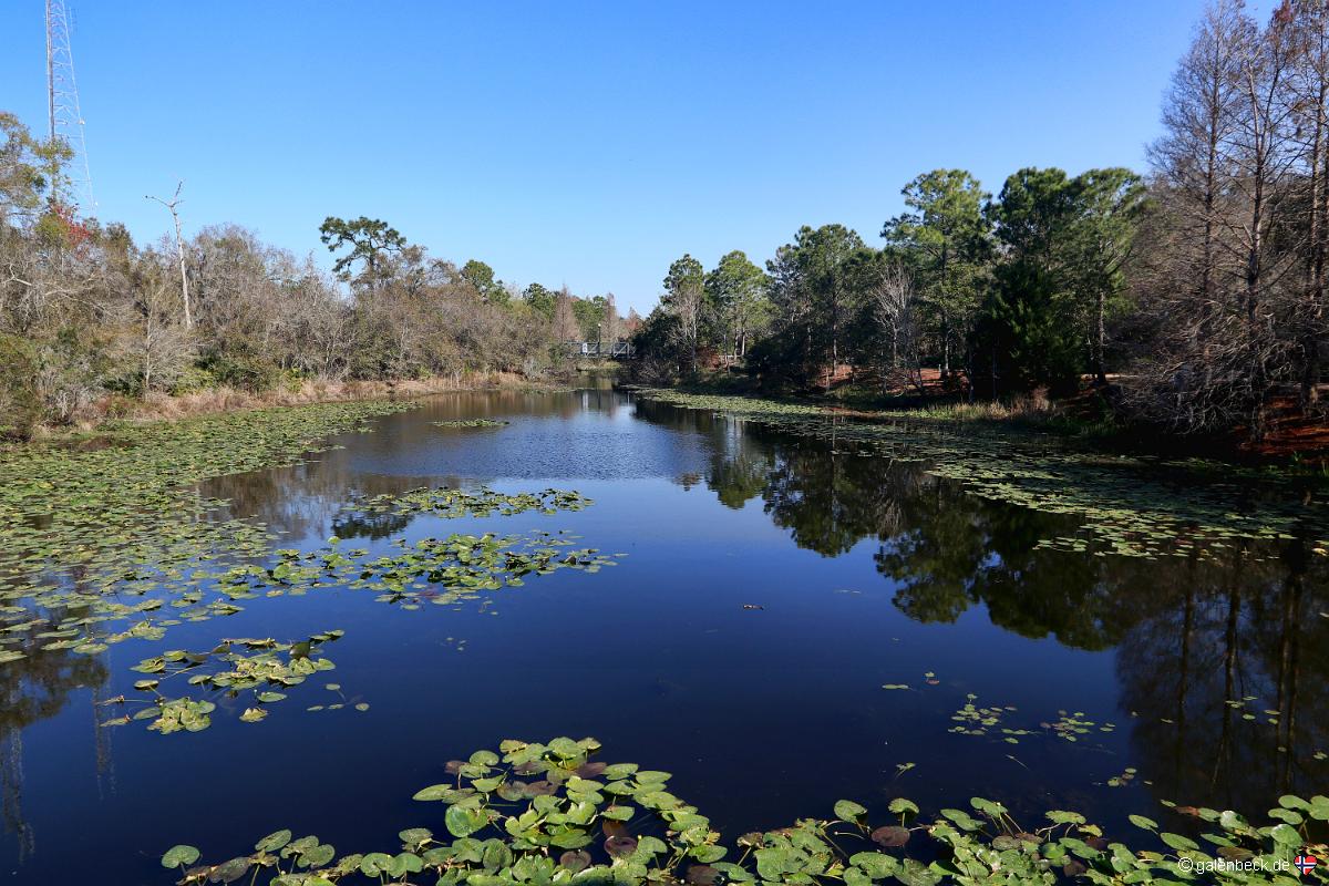 Florida Botanical Garden