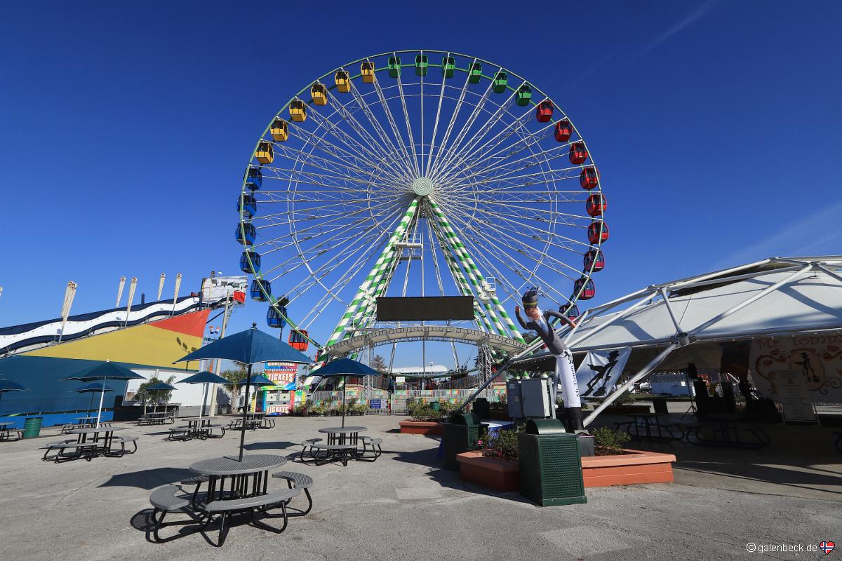 Florida State Fair 2019 1.Tag