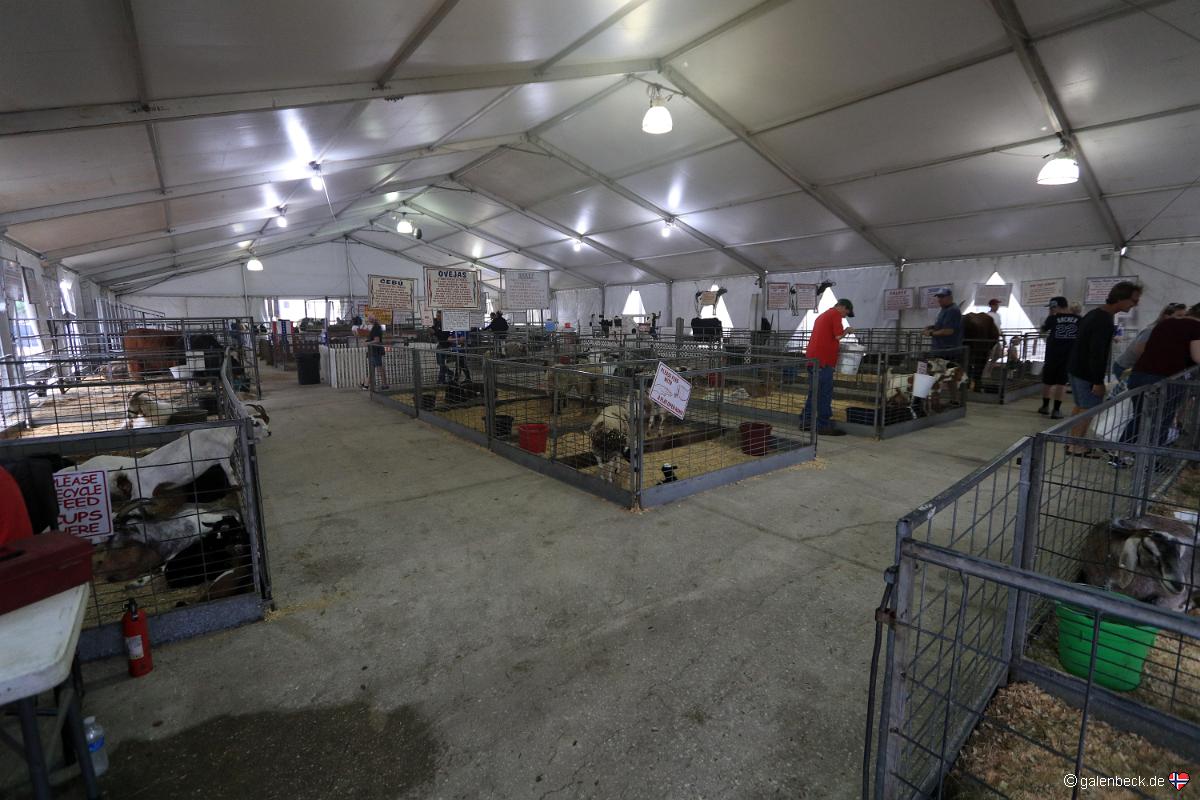Florida State Fair 2019 2.Tag