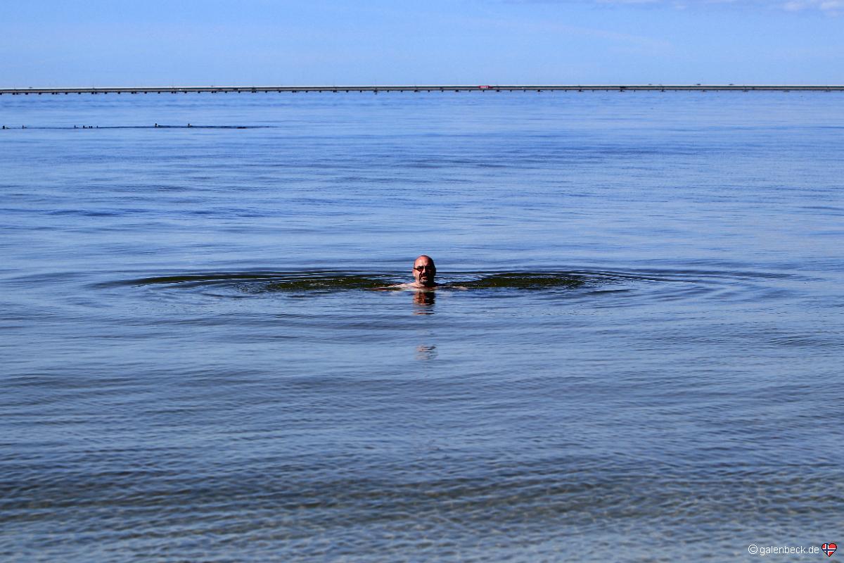 Picnic Island