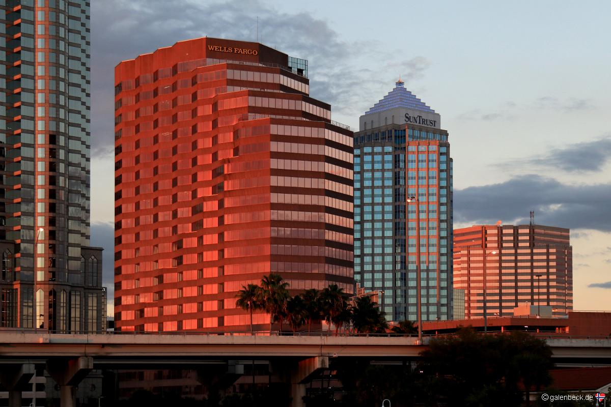 Tampa Sunset