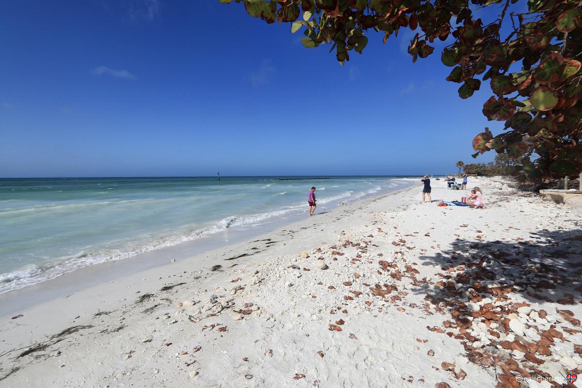 Honeymoon Island State Park