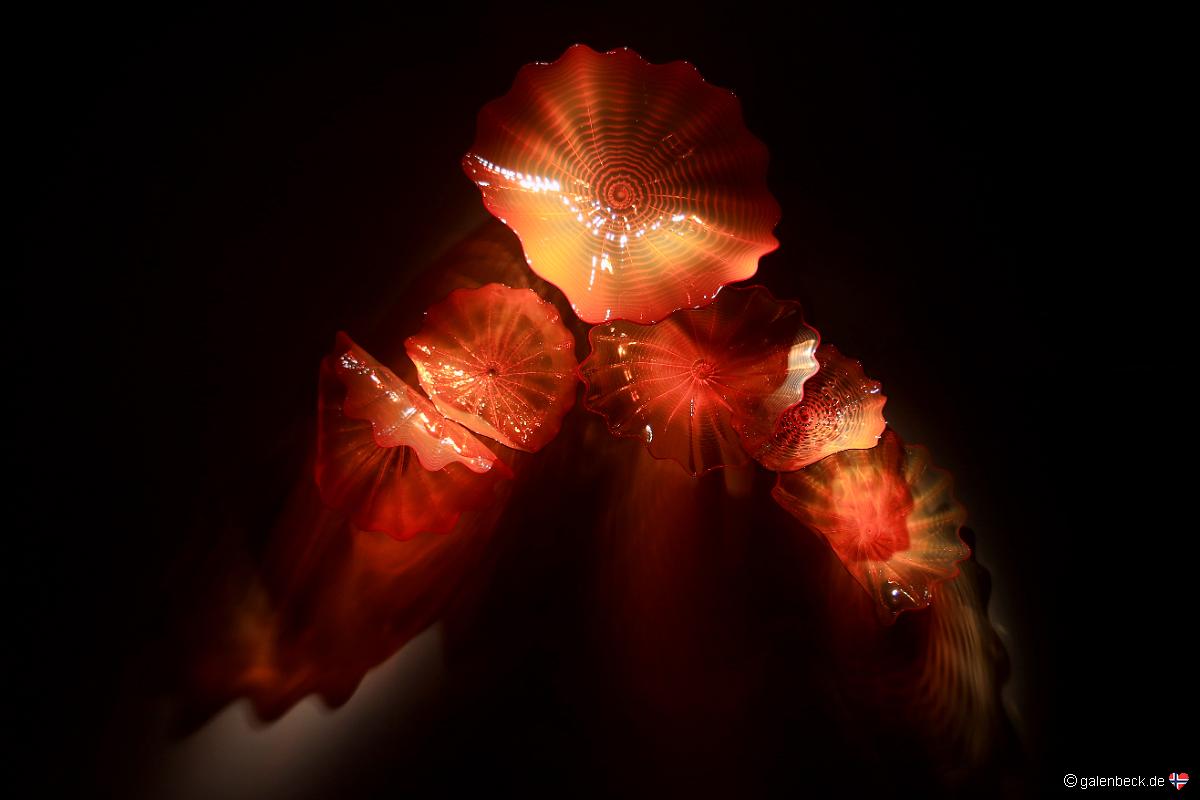 Chihuly Collection