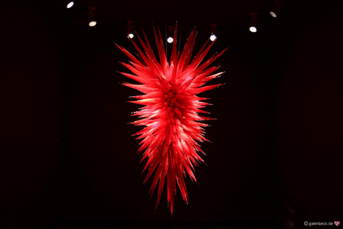 Chihuly Collection