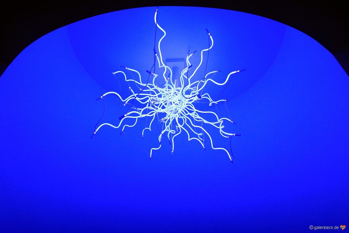 Chihuly Collection