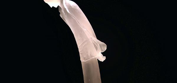 088