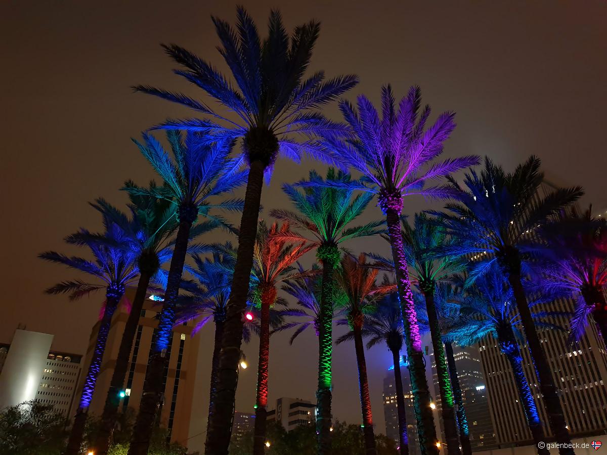 Tampa Riverwalk