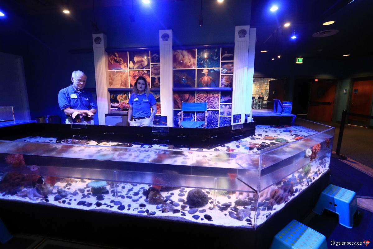 Florida Aquarium Tampa