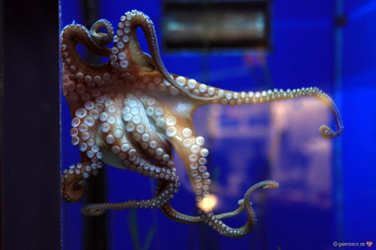Florida Aquarium Tampa