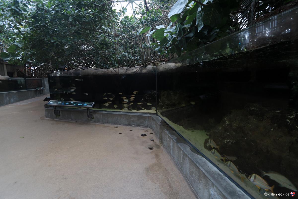 Florida Aquarium Tampa