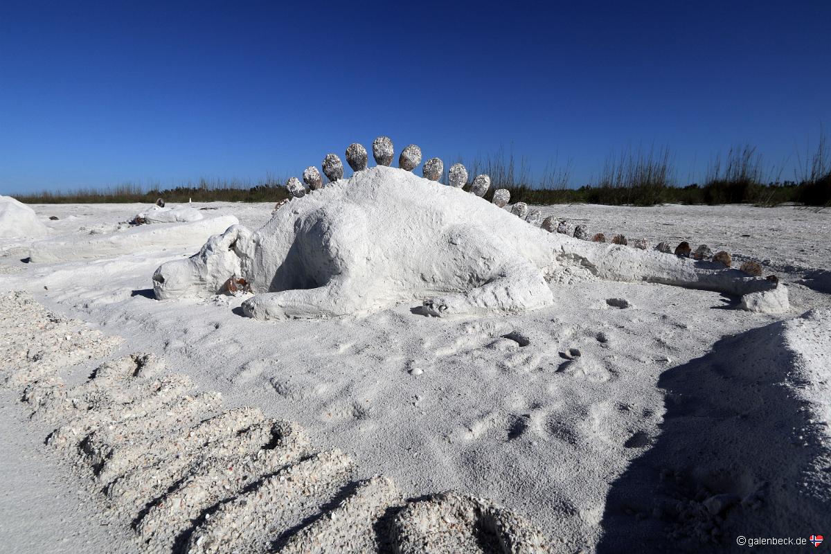 Tigertail Beach Marco Island
