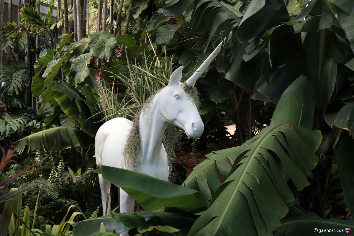 Miami Beach Botanical Garden