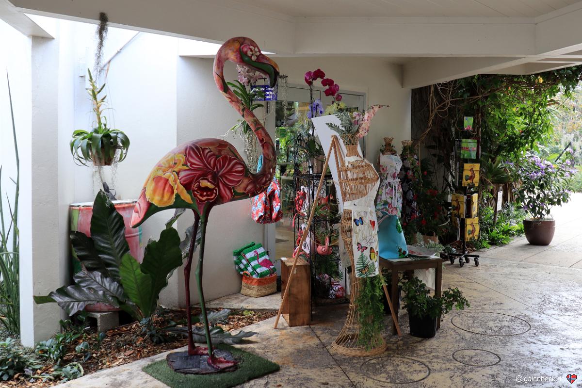 Miami Beach Botanical Garden