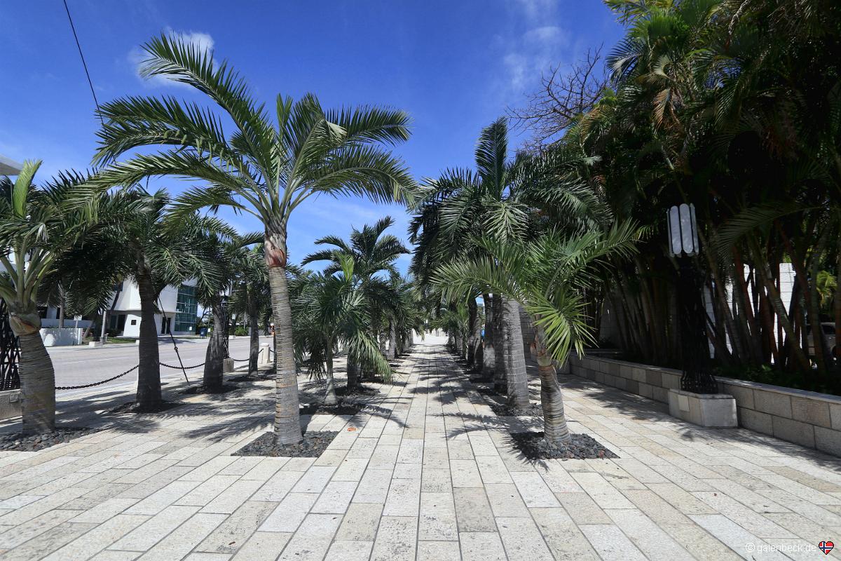 Holocaust Memorial Miami Beach