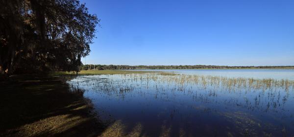 Myakka River State Park