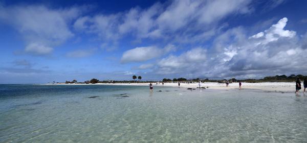 Honeymoon Island State Park