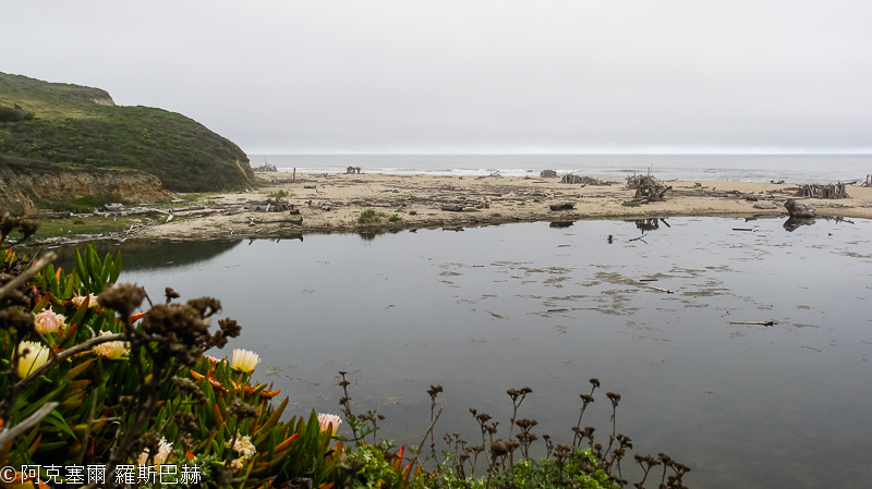 Pomponio State Beach