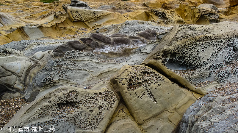 Bean Hollow State Beach