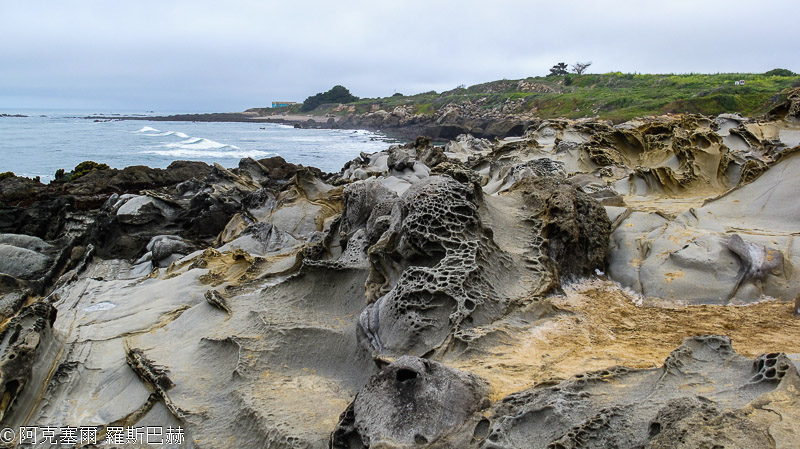 Bean Hollow State Beach