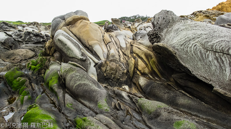 Bean Hollow State Beach