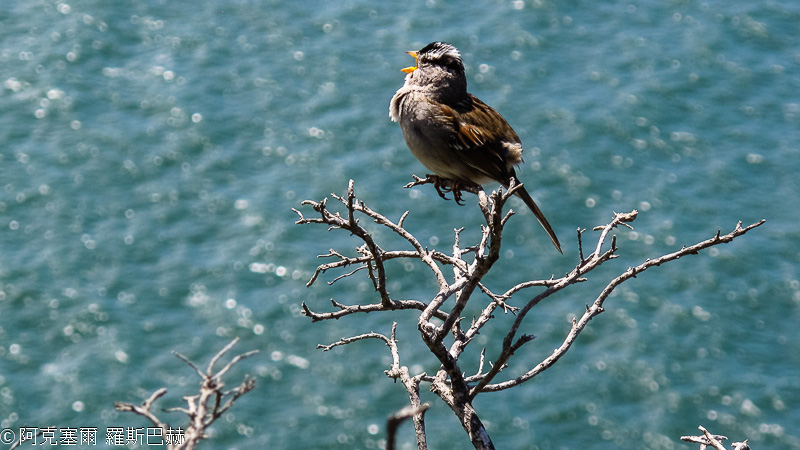 Muir Beach