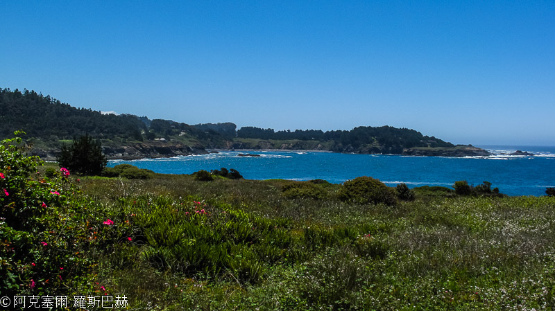 Mendocino
