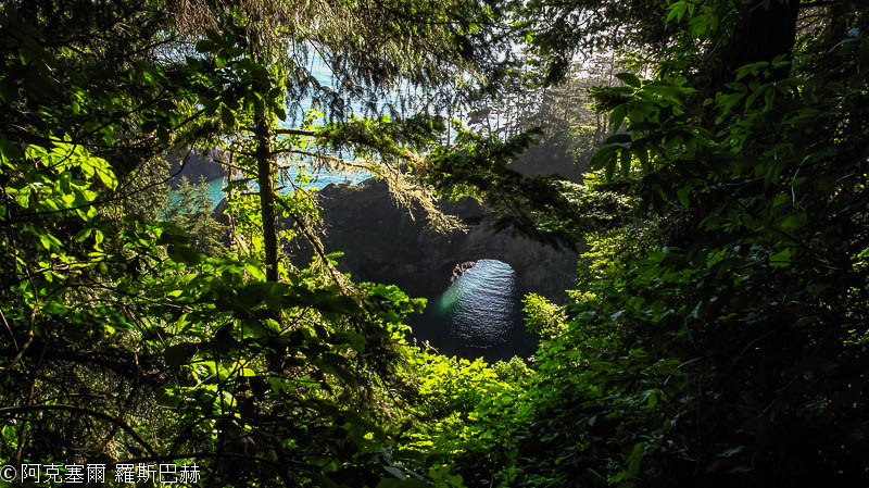 Oregon Coast State Parks
